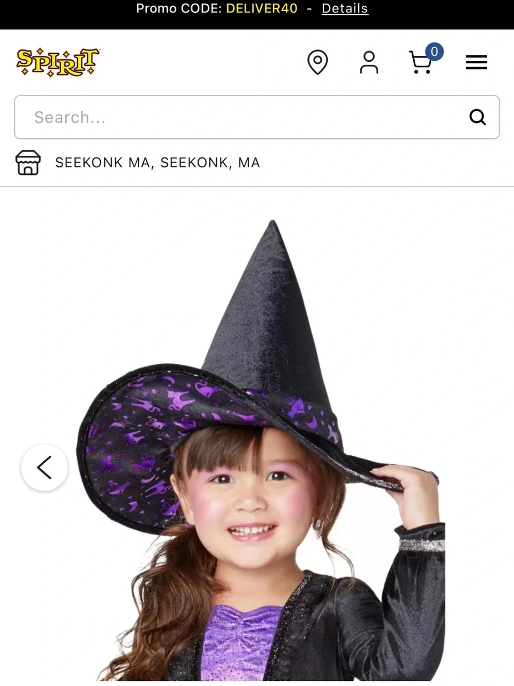 Spirit Halloween Fancy Witch toddler Halloween costume. Size 2T